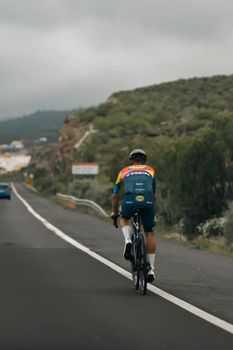 Camino entre campos